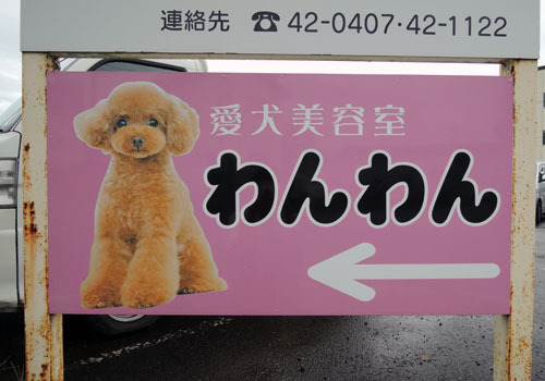 犬のシャンプーカット専門店