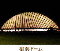 観光6